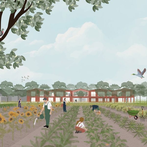 Animation image